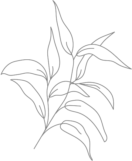 イラスト：線画の葉っぱ